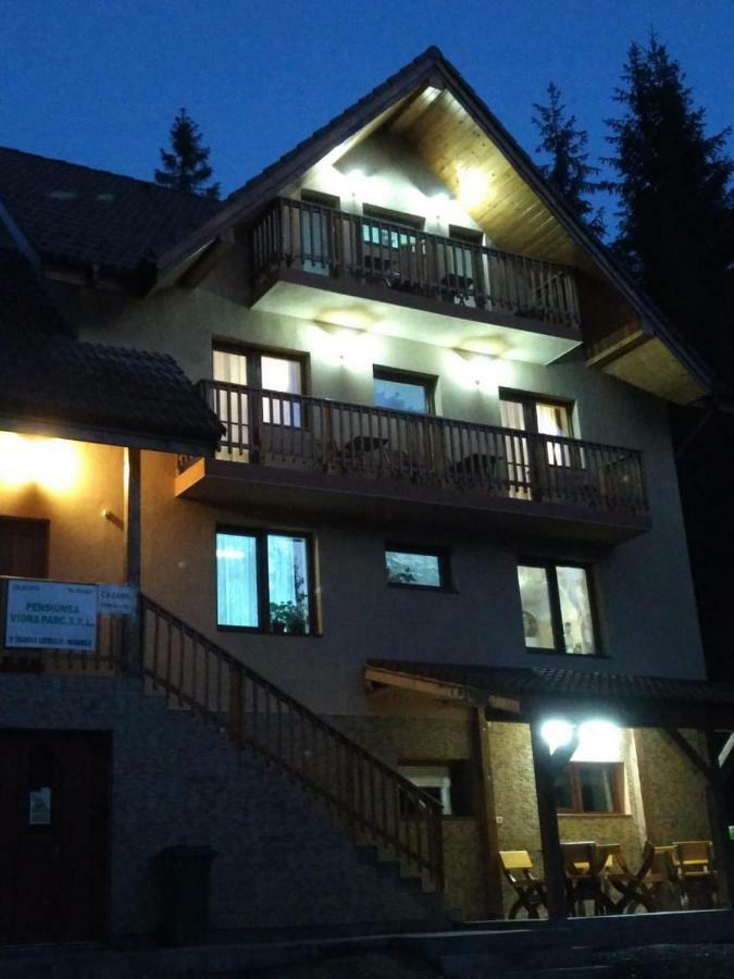 Hotel Vidra Parc Voineasa Exterior foto